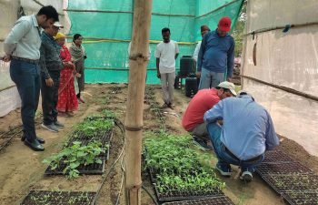 Board Monitoring _Nursery of Roma Chaudhary_Susta