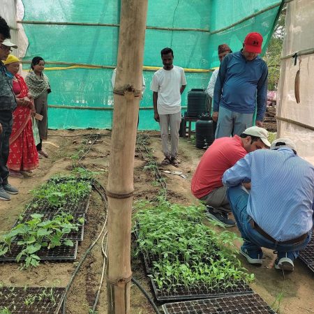 Board Monitoring _Nursery of Roma Chaudhary_Susta