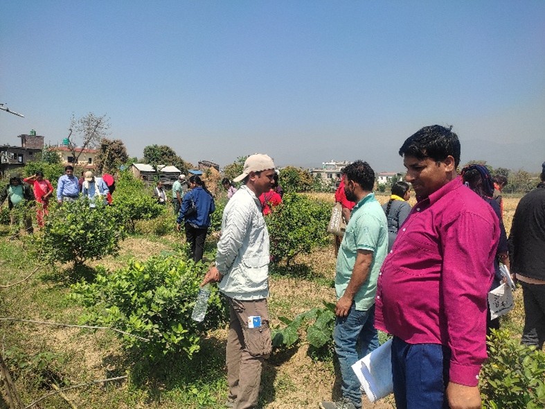 CBF and participants field visit at Gautam Nursery Sunawal during the course of training
