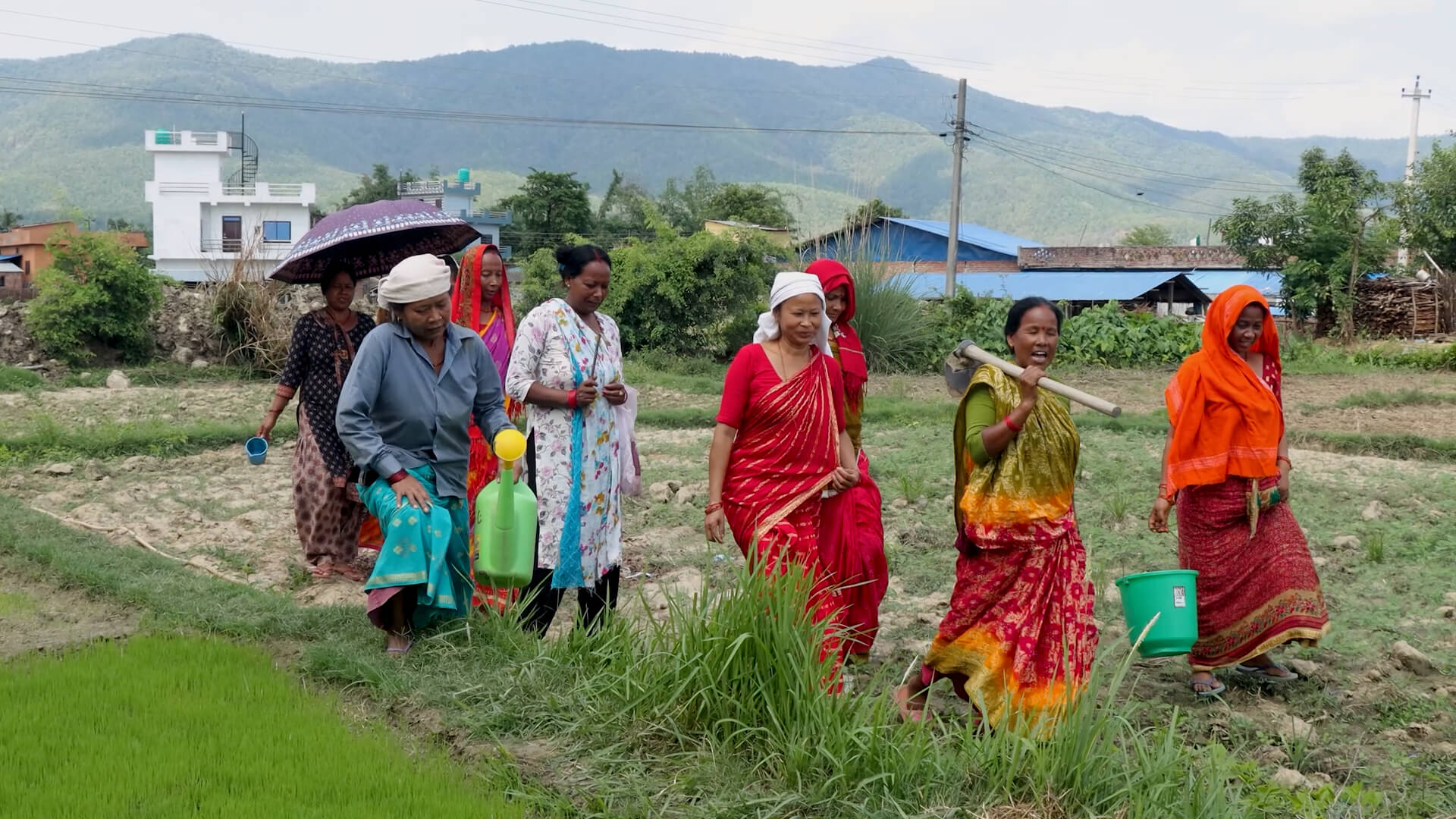 Member of Balapuri Ama Samuha going to work in their demo plot_Susta 1 Baruwa