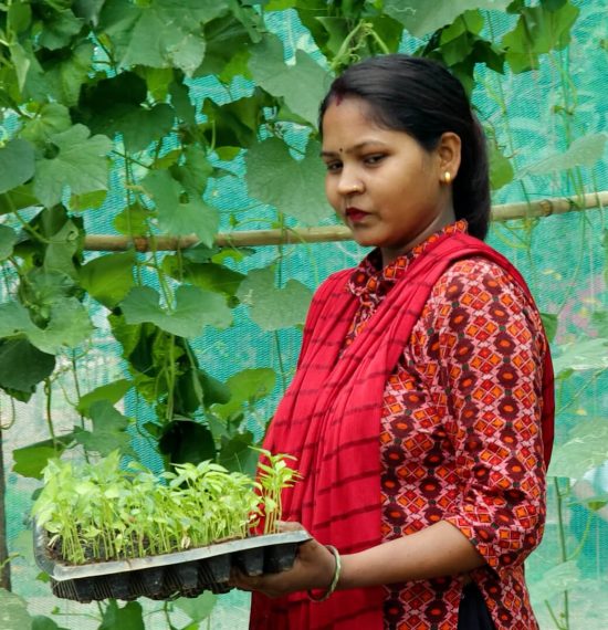 Shila Harijan in her Nursery with saplings Shila Harijan in her Nursery with saplings